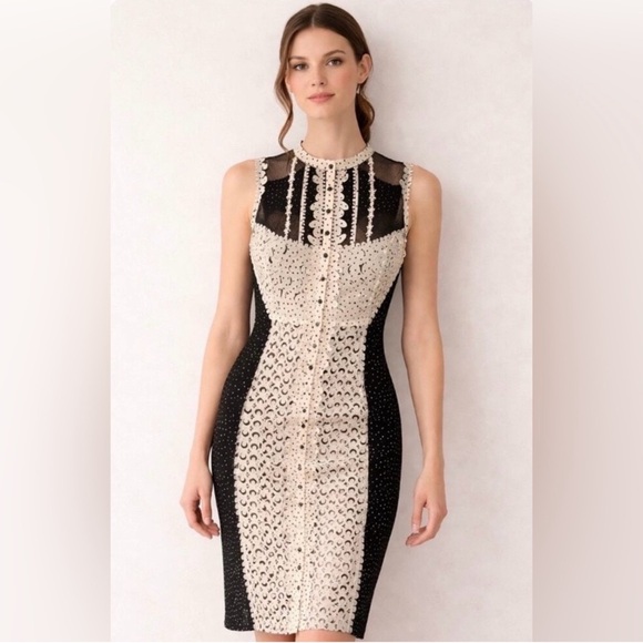 Byron Lars Lasercut Black and Cream Lace Sheath Midi Dress Kentucky Derby - Picture 13 of 13